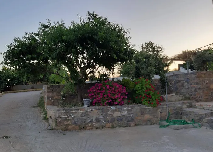Niki\'S House